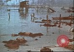 Image of United States 2nd Marine Division casualties at Tarawa Tarawa Gilbert Islands, 1944, second 22 stock footage video 65675058545