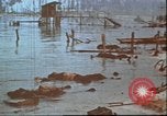 Image of United States 2nd Marine Division casualties at Tarawa Tarawa Gilbert Islands, 1944, second 24 stock footage video 65675058545