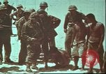Image of United States 2nd Marine Division Tarawa Gilbert Islands, 1944, second 32 stock footage video 65675058546