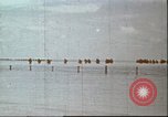 Image of United States aircraft Tarawa Gilbert Islands, 1944, second 46 stock footage video 65675058547