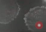 Image of Japanese warships China, 1945, second 32 stock footage video 65675058550