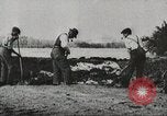 Immagine di Previsioni meteo United States USA, 1931, secondo 13 filmato di repertorio 65675058563