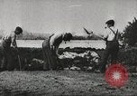 Immagine di Previsioni meteo United States USA, 1931, secondo 14 filmato di repertorio 65675058563