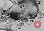 Image of concentration camp Leipzig Germany, 1945, second 37 stock footage video 65675058578