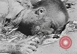 Image of concentration camp Leipzig Germany, 1945, second 38 stock footage video 65675058578