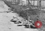Image of concentration camp Leipzig Germany, 1945, second 41 stock footage video 65675058578