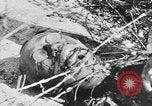 Image of concentration camp Leipzig Germany, 1945, second 61 stock footage video 65675058578