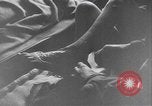 Image of concentration camp Penig Germany, 1945, second 49 stock footage video 65675058579