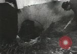 Image of Yugoslavian embassies United States USA, 1967, second 15 stock footage video 65675058583