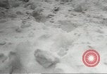 Immagine di Blizzard Chicago Illinois USA, 1967, secondo 55 filmato di repertorio 65675058588