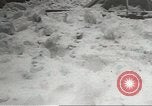 Immagine di Blizzard Chicago Illinois USA, 1967, secondo 56 filmato di repertorio 65675058588