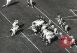 Image of Fran Tarkenton New York United States USA, 1967, second 30 stock footage video 65675058597