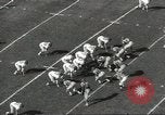 Image of Fran Tarkenton New York United States USA, 1967, second 35 stock footage video 65675058597