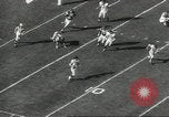 Image of Fran Tarkenton New York United States USA, 1967, second 41 stock footage video 65675058597