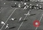 Image of Fran Tarkenton New York United States USA, 1967, second 46 stock footage video 65675058597