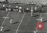 Image of Fran Tarkenton New York United States USA, 1967, second 47 stock footage video 65675058597