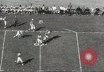Image of Fran Tarkenton New York United States USA, 1967, second 50 stock footage video 65675058597