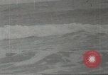 Immagine di Gli uccelli acquatici Cape Cod Massachusetts USA, 1967, secondo 6 filmato di repertorio 65675058601
