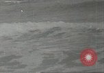 Immagine di Gli uccelli acquatici Cape Cod Massachusetts USA, 1967, secondo 7 filmato di repertorio 65675058601