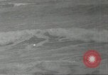 Immagine di Gli uccelli acquatici Cape Cod Massachusetts USA, 1967, secondo 8 filmato di repertorio 65675058601