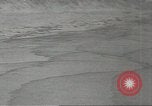 Immagine di Gli uccelli acquatici Cape Cod Massachusetts USA, 1967, secondo 10 filmato di repertorio 65675058601