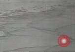 Immagine di Gli uccelli acquatici Cape Cod Massachusetts USA, 1967, secondo 11 filmato di repertorio 65675058601