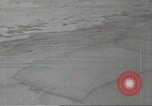 Immagine di Gli uccelli acquatici Cape Cod Massachusetts USA, 1967, secondo 12 filmato di repertorio 65675058601