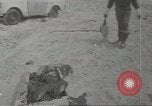 Immagine di Gli uccelli acquatici Cape Cod Massachusetts USA, 1967, secondo 13 filmato di repertorio 65675058601