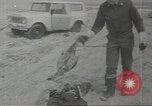 Immagine di Gli uccelli acquatici Cape Cod Massachusetts USA, 1967, secondo 15 filmato di repertorio 65675058601