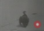 Immagine di Gli uccelli acquatici Cape Cod Massachusetts USA, 1967, secondo 18 filmato di repertorio 65675058601