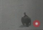 Immagine di Gli uccelli acquatici Cape Cod Massachusetts USA, 1967, secondo 20 filmato di repertorio 65675058601