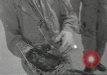 Immagine di Gli uccelli acquatici Cape Cod Massachusetts USA, 1967, secondo 23 filmato di repertorio 65675058601