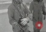 Immagine di Gli uccelli acquatici Cape Cod Massachusetts USA, 1967, secondo 24 filmato di repertorio 65675058601