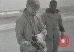 Immagine di Gli uccelli acquatici Cape Cod Massachusetts USA, 1967, secondo 25 filmato di repertorio 65675058601
