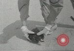 Immagine di Gli uccelli acquatici Cape Cod Massachusetts USA, 1967, secondo 26 filmato di repertorio 65675058601