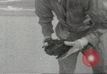Immagine di Gli uccelli acquatici Cape Cod Massachusetts USA, 1967, secondo 28 filmato di repertorio 65675058601
