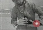 Immagine di Gli uccelli acquatici Cape Cod Massachusetts USA, 1967, secondo 29 filmato di repertorio 65675058601