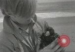 Immagine di Gli uccelli acquatici Cape Cod Massachusetts USA, 1967, secondo 31 filmato di repertorio 65675058601
