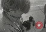 Immagine di Gli uccelli acquatici Cape Cod Massachusetts USA, 1967, secondo 33 filmato di repertorio 65675058601