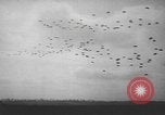 Image of maneuvers Puerto Rico, 1950, second 44 stock footage video 65675058614