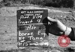 Immagine di Stati Uniti 900th Airborne ingegneri Tamu Birmania, 1944, secondo 1 filmato di repertorio 65675058619