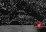 Immagine di Stati Uniti 900th Airborne ingegneri Tamu Birmania, 1944, secondo 16 filmato di repertorio 65675058619