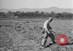 Immagine di Stati Uniti 900th Airborne ingegneri Tamu Birmania, 1944, secondo 44 filmato di repertorio 65675058619