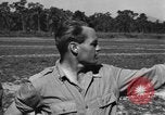 Standbild Oberst Phill Cochrane Tamu Birma, 1944, aus Sekunde 36 historischem Filmmaterial Videoclip 65675058620