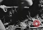 Standbild USA 900th Airborne Ingenieure Tamu Birma, 1944, aus Sekunde 26 historischem Filmmaterial Videoclip 65675058621