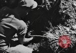 Standbild USA 900th Airborne Ingenieure Tamu Birma, 1944, aus Sekunde 31 historischem Filmmaterial Videoclip 65675058621