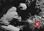 Standbild USA 900th Airborne Ingenieure Tamu Birma, 1944, aus Sekunde 34 historischem Filmmaterial Videoclip 65675058621