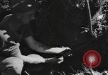 Standbild USA 900th Airborne Ingenieure Tamu Birma, 1944, aus Sekunde 36 historischem Filmmaterial Videoclip 65675058621