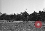 Standbild USA 900th Airborne Ingenieure Tamu Birma, 1944, aus Sekunde 42 historischem Filmmaterial Videoclip 65675058621