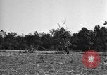 Standbild USA 900th Airborne Ingenieure Tamu Birma, 1944, aus Sekunde 43 historischem Filmmaterial Videoclip 65675058621
